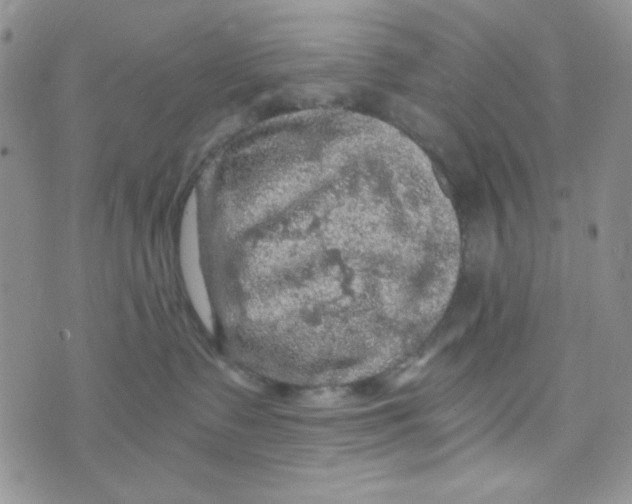 X0000073750335200608311941