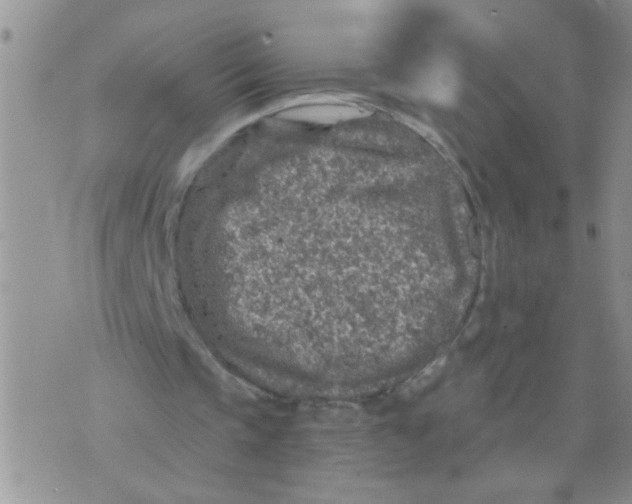 X0000073750337200608311940