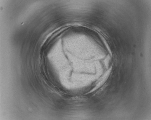 X0000073750338200608311940