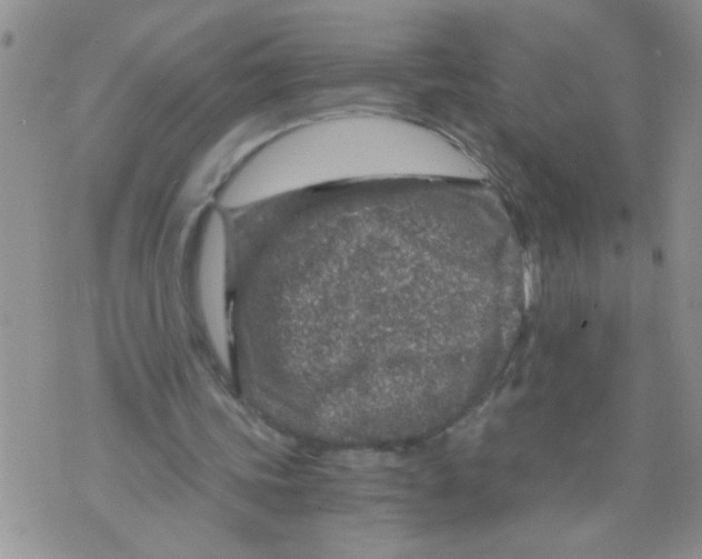 X0000073750339200608311940