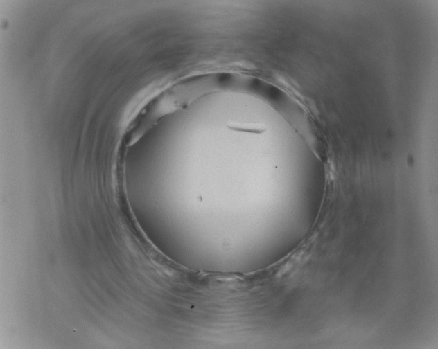 X0000073750340200608311940