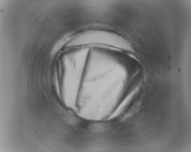 X0000073750341200608311940