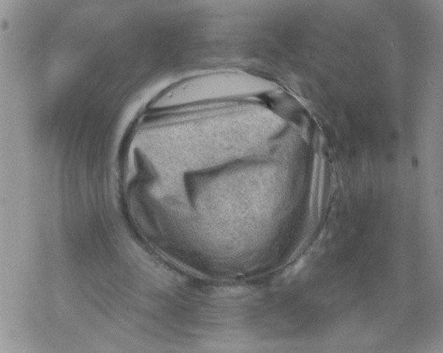 X0000073750342200608311940