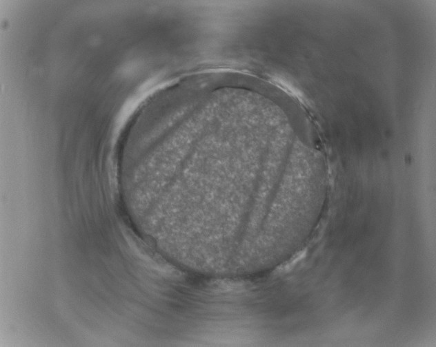 X0000073750343200608311940