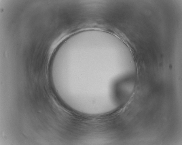 X0000073750344200608311941