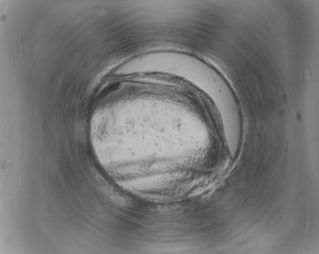 X0000073750345200608311941