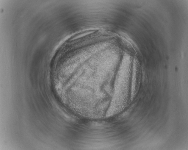 X0000073750346200608311941