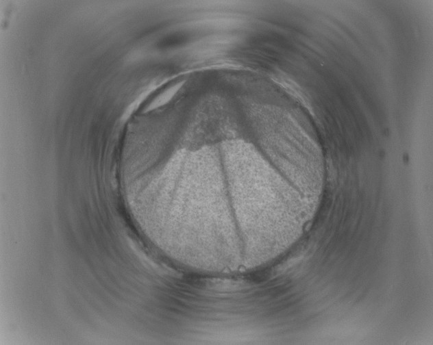 X0000073750347200608311941