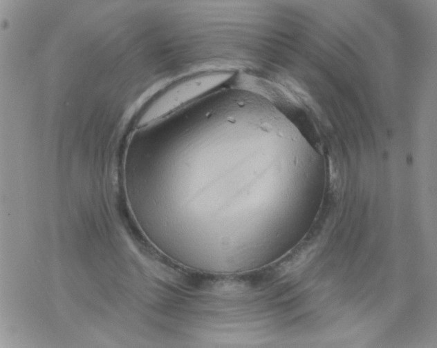 X0000073750348200608311941