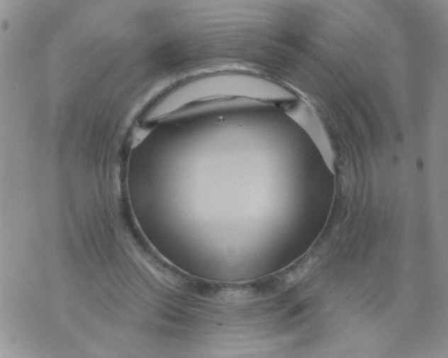 X0000073750350200608311941