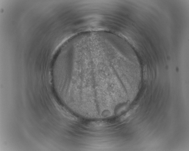 X0000073750351200608311941