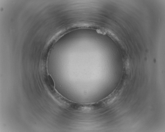 X0000073750352200608311941