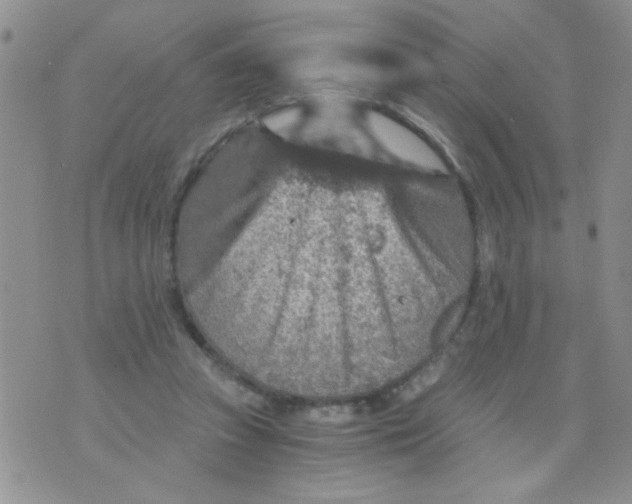 X0000073750353200608311941