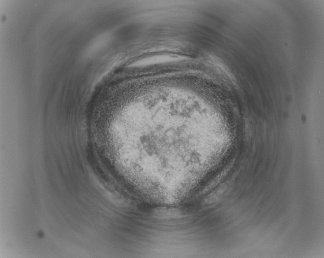 X0000073750354200608311941