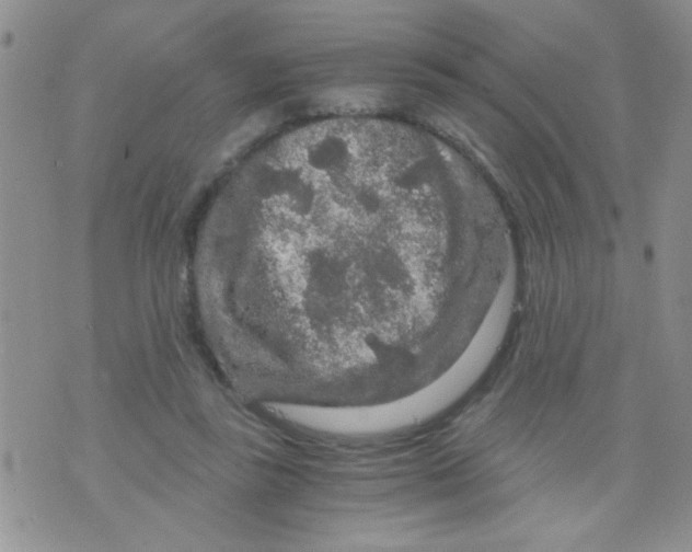 X0000073750355200608311941