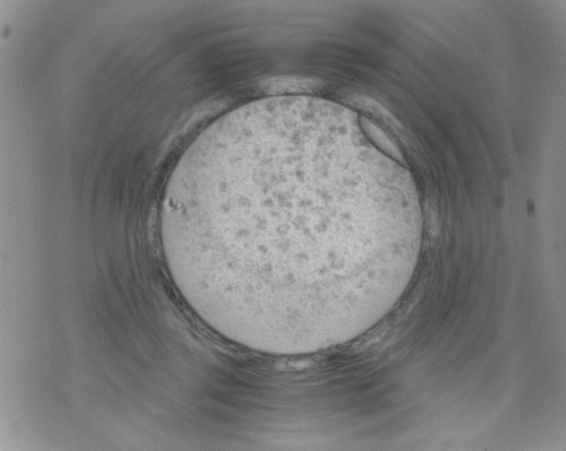 X0000073750357200608311941