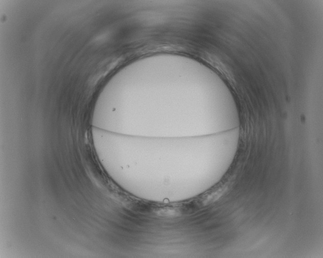 X0000073750358200608311941