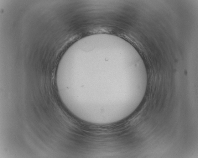 X0000073750359200608311941