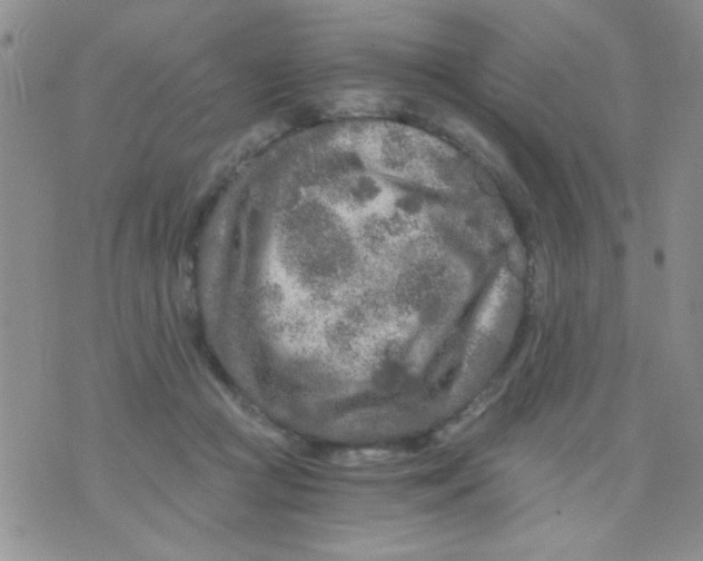 X0000073750361200608311941