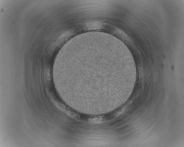 X0000073750362200608311941