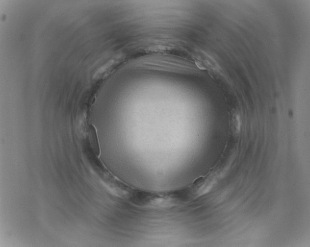 X0000073750364200608311941