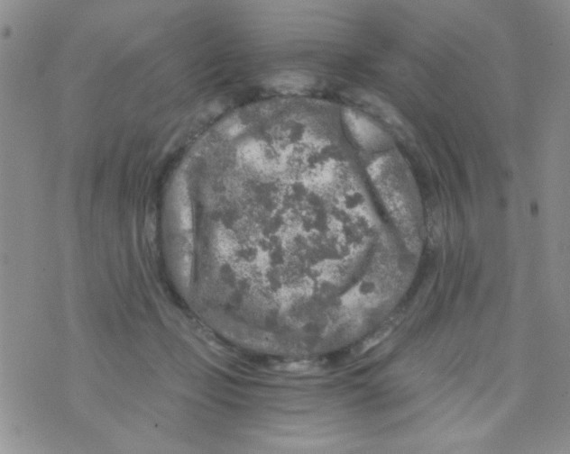 X0000073750365200608311941