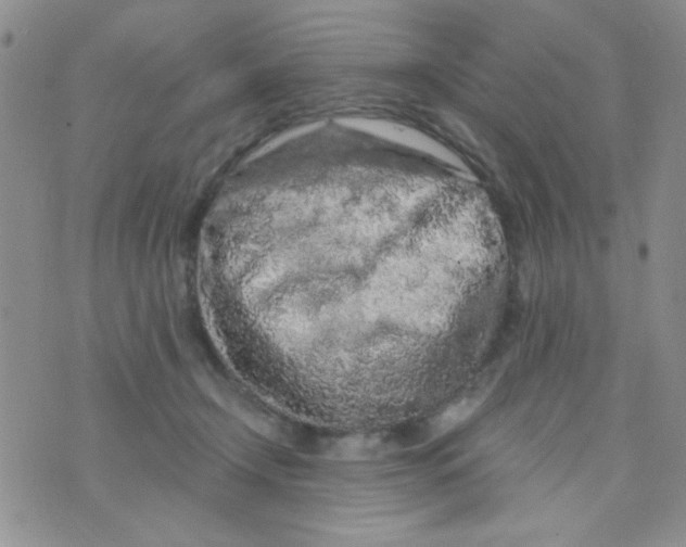 X0000073750366200608311941