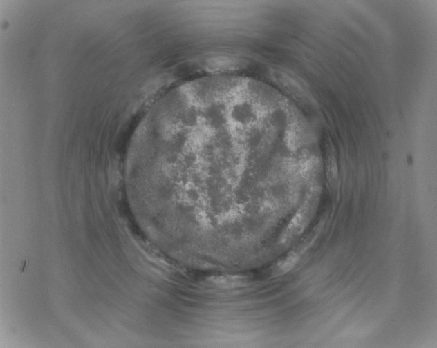 X0000073750367200608311941