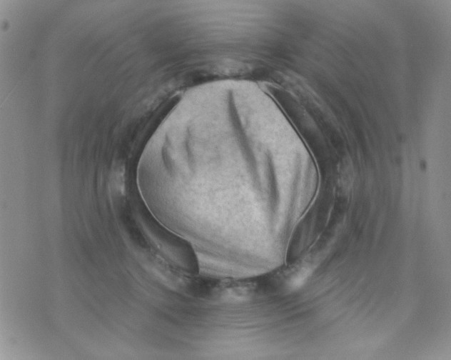 X0000073750368200608311941