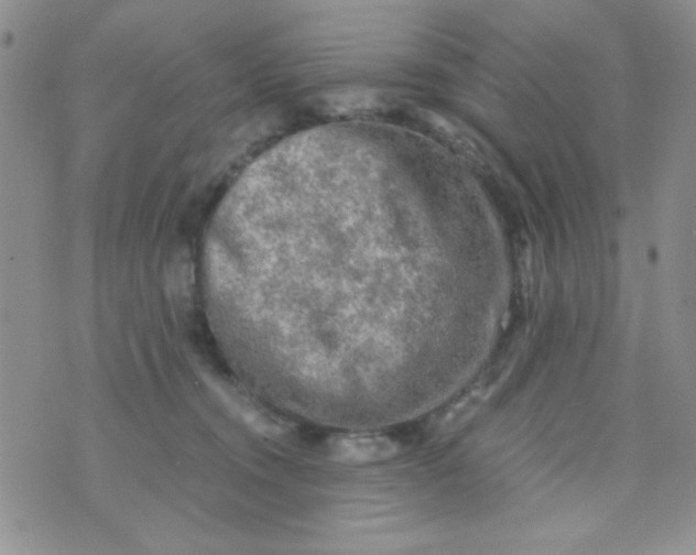 X0000073750372200608311941