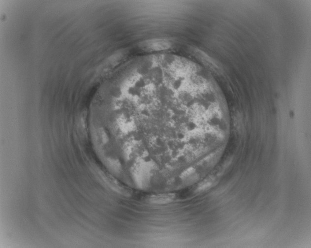 X0000073750373200608311941