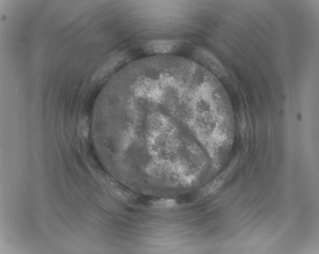 X0000073750374200608311941