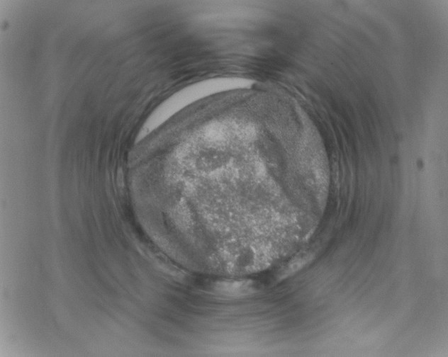 X0000073750375200608311941