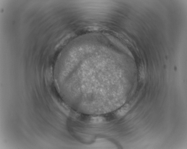 X0000073750376200608311941