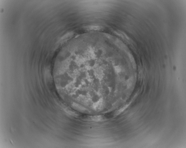 X0000073750377200608311941