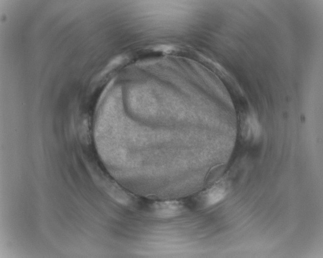 X0000073750378200608311941