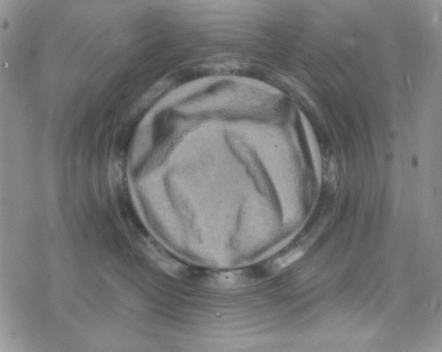 X0000073750382200608311941