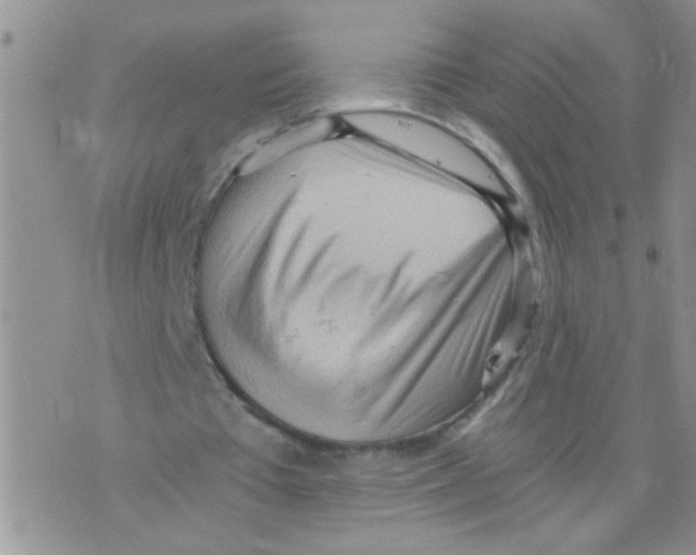 X0000073750385200608311940