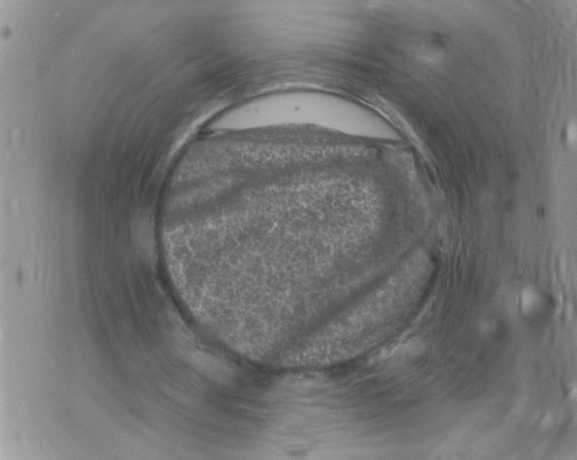 X0000073750386200608311940