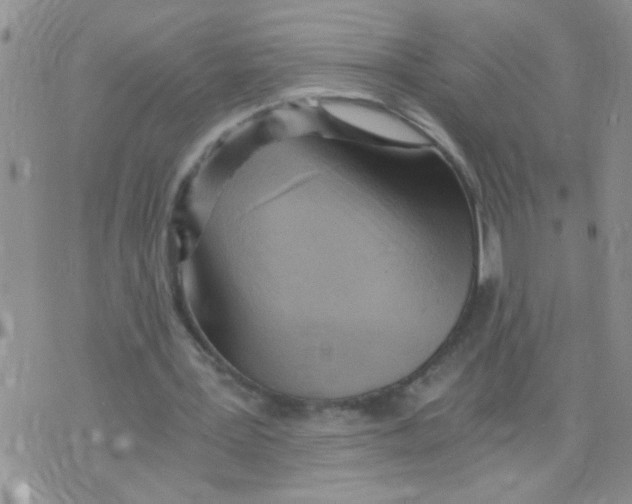 X0000073750387200608311940