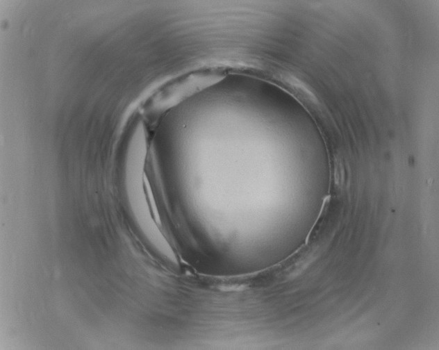 X0000073750388200608311940