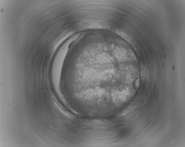 X0000073750390200608311940