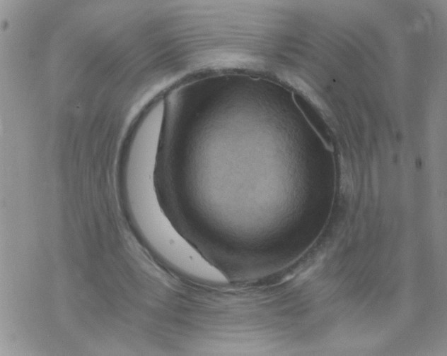 X0000073750391200608311940