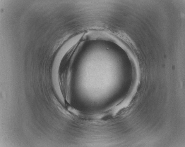 X0000073750393200608311940