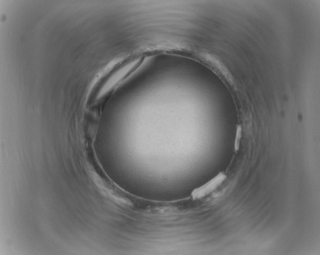 X0000073750395200608311940