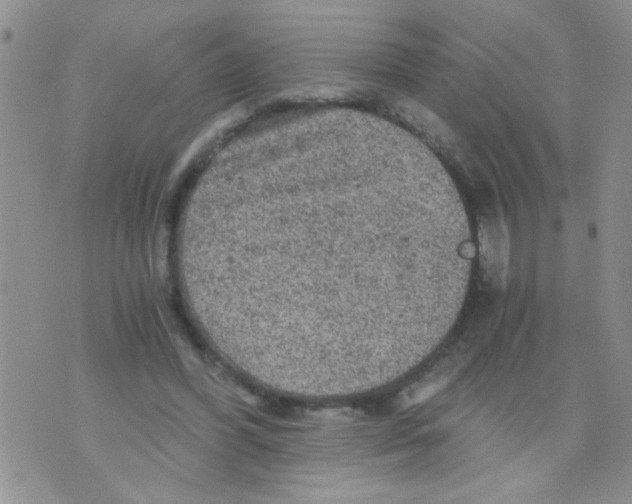 X0000073750396200608311940