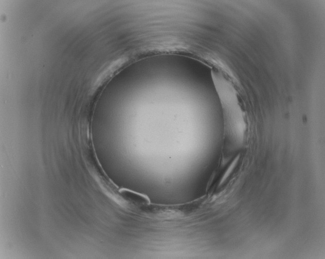 X0000073750397200608311940