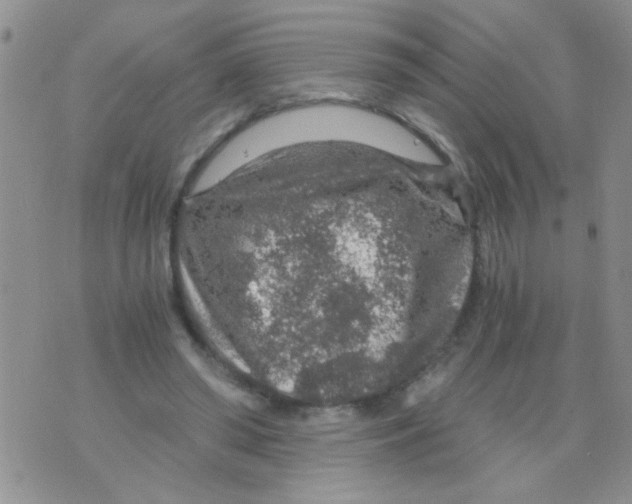 X0000073750398200608311940