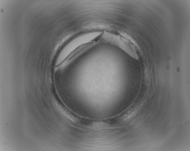 X0000073750399200608311940