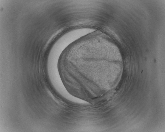 X0000073750400200608311940